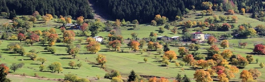 Artvin Hopa Uçak Bileti